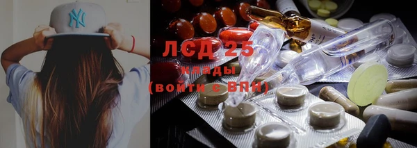 мдпв Заводоуковск