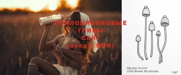 мдма Заволжск