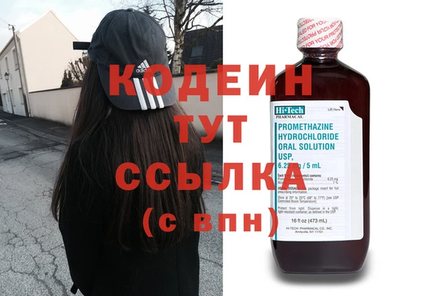 мдпв Заводоуковск