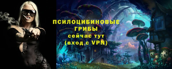 мескалин Зеленокумск